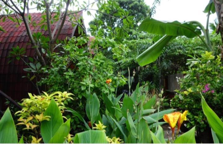 Banana Leaf Bungalow Gili Trawangan Esterno foto